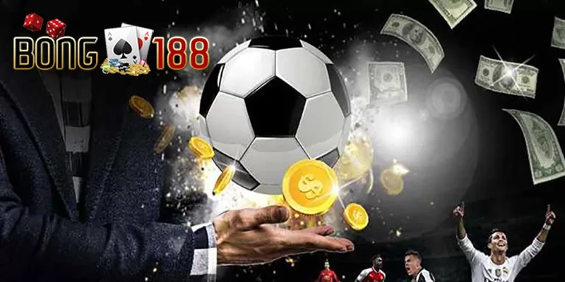 Đội tuyển tham dự Euro 2024 | Những điều mà bạn cần biết